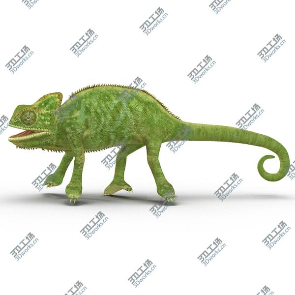 images/goods_img/20210312/Chameleon Rigged for Cinema 4D/5.jpg